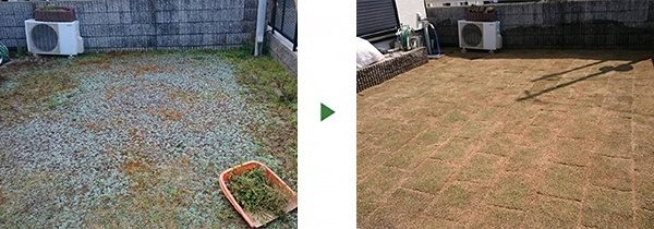 コストを抑えた芝張り工事｜細かい雑草だらけの庭をキレイにしたい　大阪府堺市北区