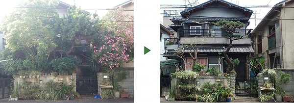 キョウチクトウなどの剪定｜隣にはみ出て落ち葉の苦情が来る　大阪府堺市南区