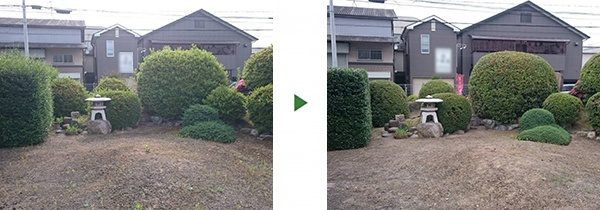 ウバメガシの生垣剪定を中心に100㎡のお庭の植木の手入れと草刈り　大阪府堺市中区