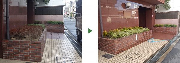 1年保証のマンション植栽｜サツキがすぐに枯れた事が悩み　大阪府堺市北区