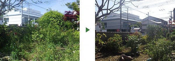 空き家の庭手入れ｜30㎡の草刈りと庭木剪定を1日で完了　奈良県大和郡山市