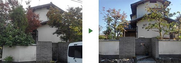空き家の木の強剪定｜鬱蒼とした5本の木をできるだけ小さく 大阪府堺市北区