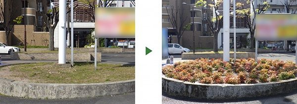 固まる土の撤去と植栽｜花壇の表面が割れて汚い　大阪府堺市の店舗