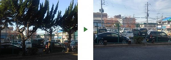 フェンス沿いの木を伐採｜7mのカイヅカイブキ5本が倒れそう　大阪府堺市北区