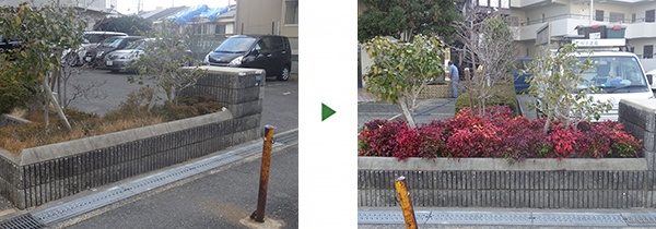 植栽の植え替え｜部分的に枯れて見栄えが悪い　大阪府堺市堺区のマンション