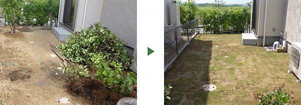 庭木を撤去して芝生にしたい｜いらない木が多く自分でやるのが大変　大阪市西成区