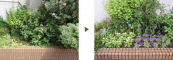 マンション花壇の植栽管理｜年1回の花の植え替えと木の剪定　大阪市東住吉区