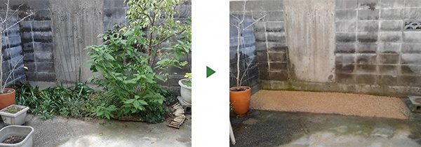 花壇の木を撤去してまっさらな状態にしたい　大阪府堺市西区