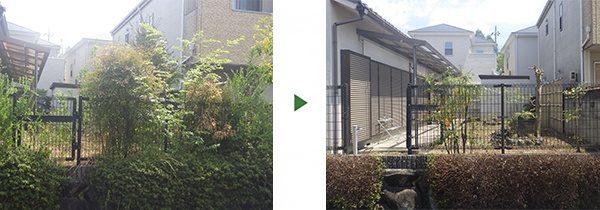 クロガネモチの剪定など空き家の庭手入れ　奈良県大和郡山市