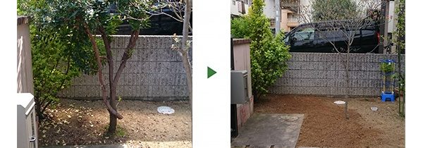 キョウチクトウ2本の撤去（伐採と抜根）｜庭から完全になくしたい　和歌山県和歌山市