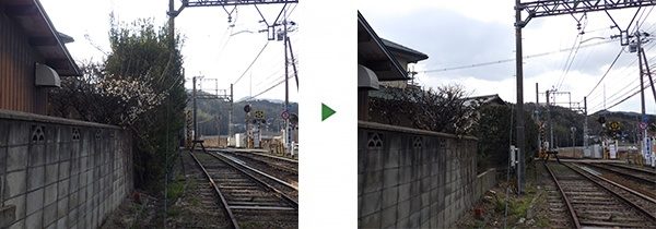 トラブルが起きる前に！空き家の庭木の剪定と伐採　奈良県生駒市