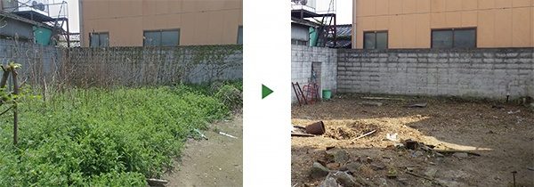 空き家の荒れた庭の草木をきれいに撤去～草刈りと木の伐採～　大阪府堺市南区