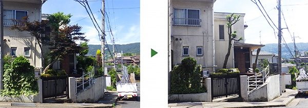 借家の木(モミジなど)を伐採・剪定　大阪市鶴見区