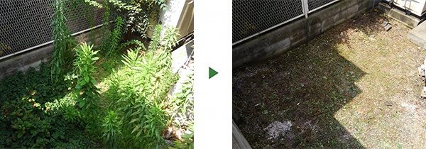 マンション専用庭の雑草を何とかしたい！草刈りと除草剤散布　吹田市