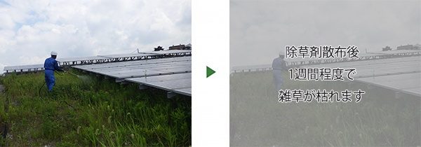 産業用太陽光発電設備の土地18,000㎡に除草剤散布　神戸市・綾部市