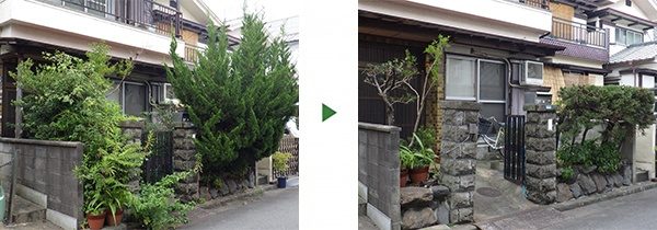 道にはみ出た幅3mの生垣(カイヅカイブキ)を1mに剪定　大阪府枚方市