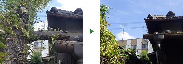台風で屋根に倒れた木(6mの枯れ木)を撤去　大阪府茨木市