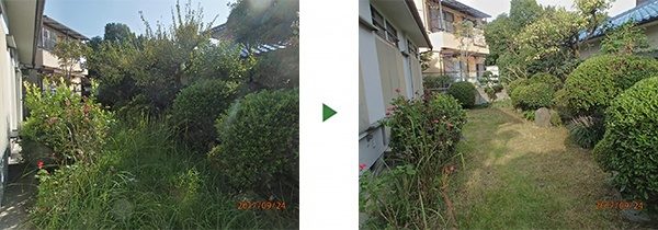 約20㎡の庭の4本の植木と芝生のお手入れ　大阪府枚方市