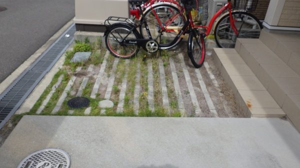 除草前のアプローチ