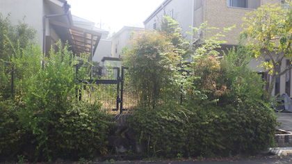 手入れ前の空家の庭