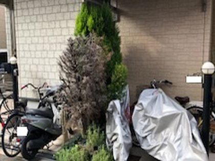 撤去前