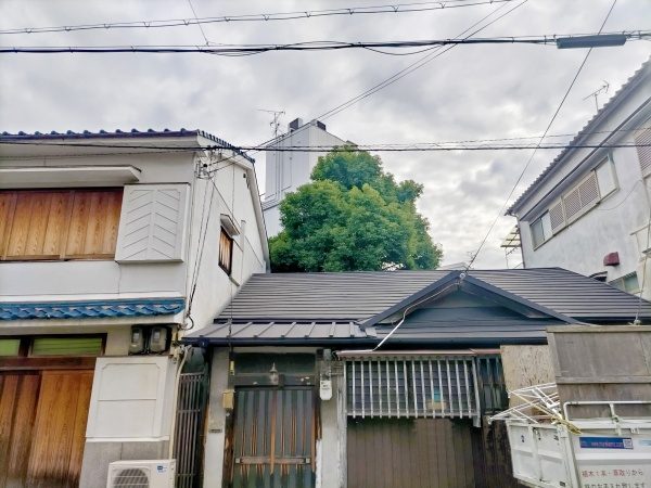 4畳半程の狭いスペースにある高さ13mのクスノキを伐採した事例│大阪市旭区K様