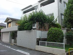 庭（庭木）のお手入れ、アラカシ剪定　大阪府大阪市旭区