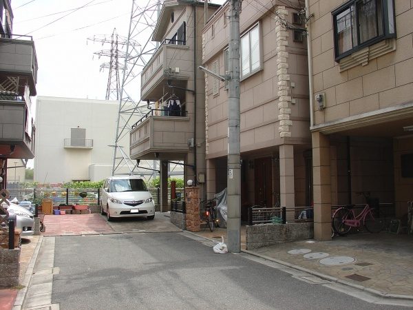 ゴールドクレスト伐採後