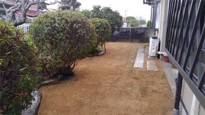 作業後の芝生