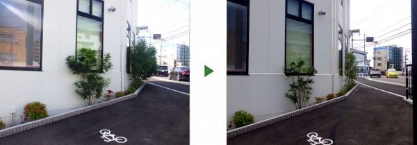 病院敷地内でシマトネリコの剪定　 大阪市城東区Ｔ病院