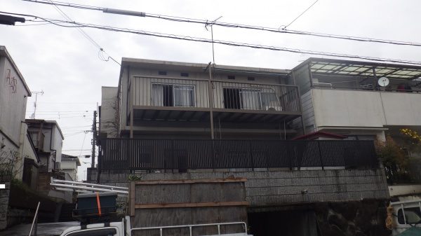 モチノキ　伐採後