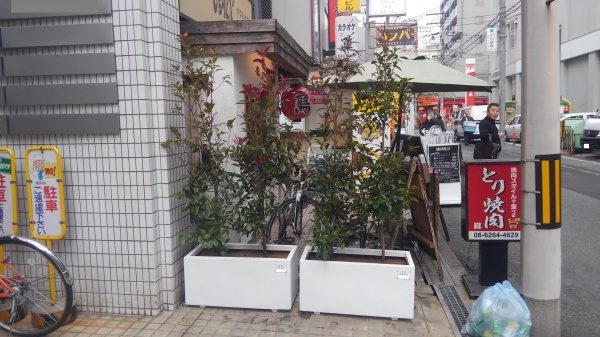 レッドロビン 植栽後