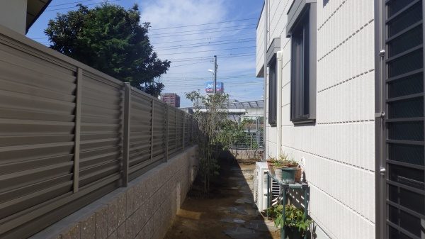 シャラ　植栽後