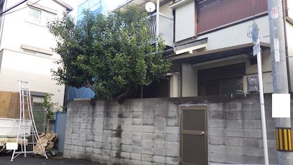 伐採前のネズミモチ