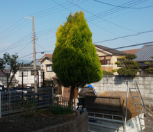枚方市ゴールドクレスト 作業前