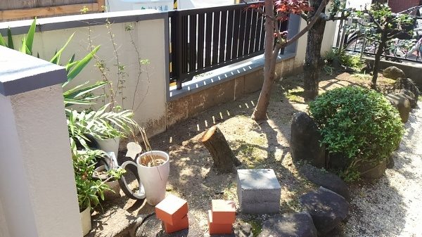 クロマツを抜根した跡地へハナミズキを植栽～抜根は目的ありきで～　大阪府堺市北区
