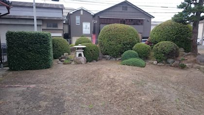 剪定後のお庭