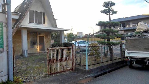 手入れ前後