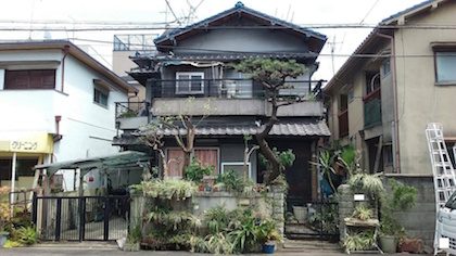 剪定後の庭
