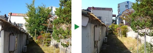 裏地にあるクヌギの伐採～奈良県大和郡山市～