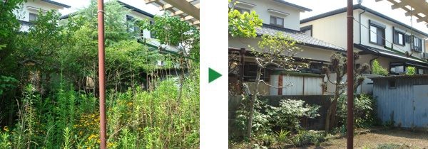 庭中に生えている雑草の草刈りとヒマラヤスギの剪定　大阪府高槻市