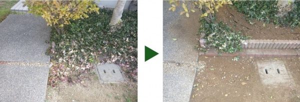 玄関先の巨大な根を取り除き、防根シートを設置した事例　大阪市城東区