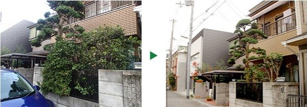 フェンスから飛び出していたツツジやキンモクセイの剪定～奈良県生駒市～