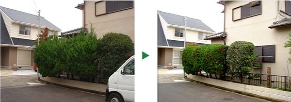 生垣の最適な剪定時期と刈り込み方法～奈良県天理市～