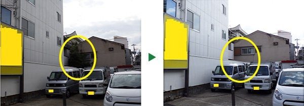 リフォーム前に6ｍのアラカシを伐採～京都府京都市伏見区～