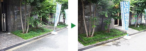 タマリュウの植栽と犬や猫の侵入防止に柵設置　大阪市中央区