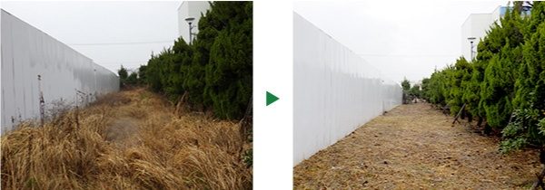 流通センター（工場）での3年ぶりの草刈り～大阪府茨木市～