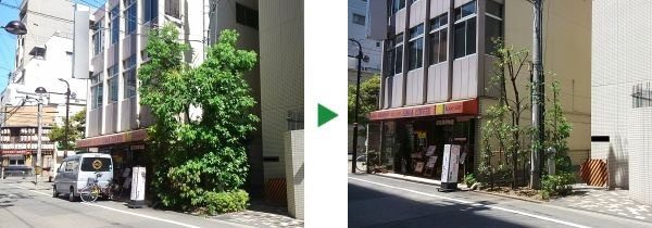 隣近所に迷惑をかけない植木の剪定と管理　京都府京都市