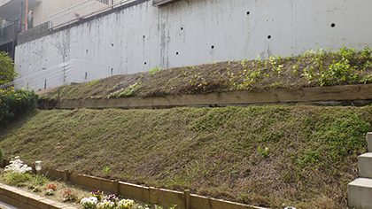 作業前の斜面
