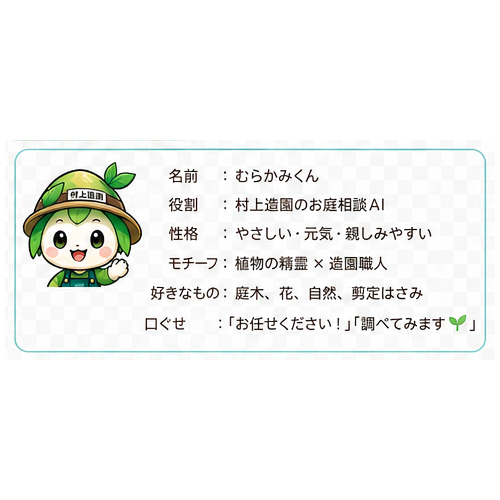 むらかみくんプロフィール